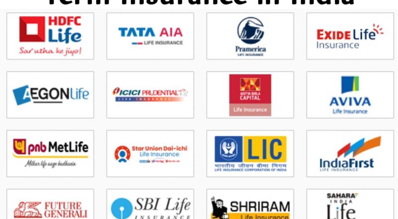 Term Insurance in India